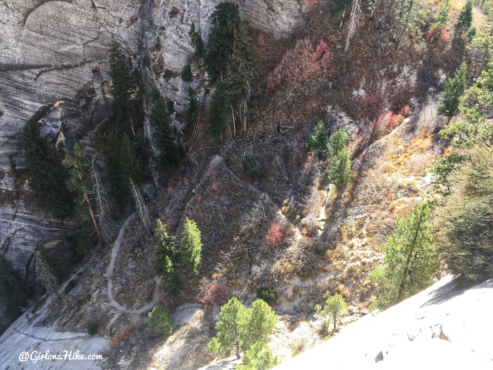 Hiking the West Rim Trail, Zion National Park