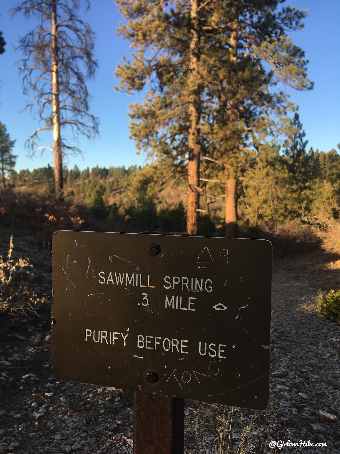 Hiking the West Rim Trail, Zion National Park