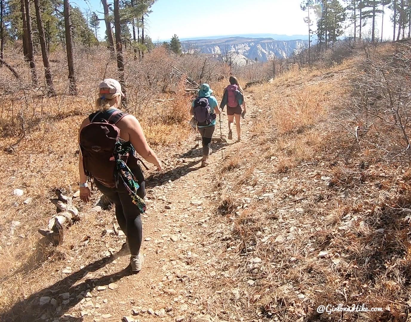 Hiking the West Rim Trail, Zion National Park