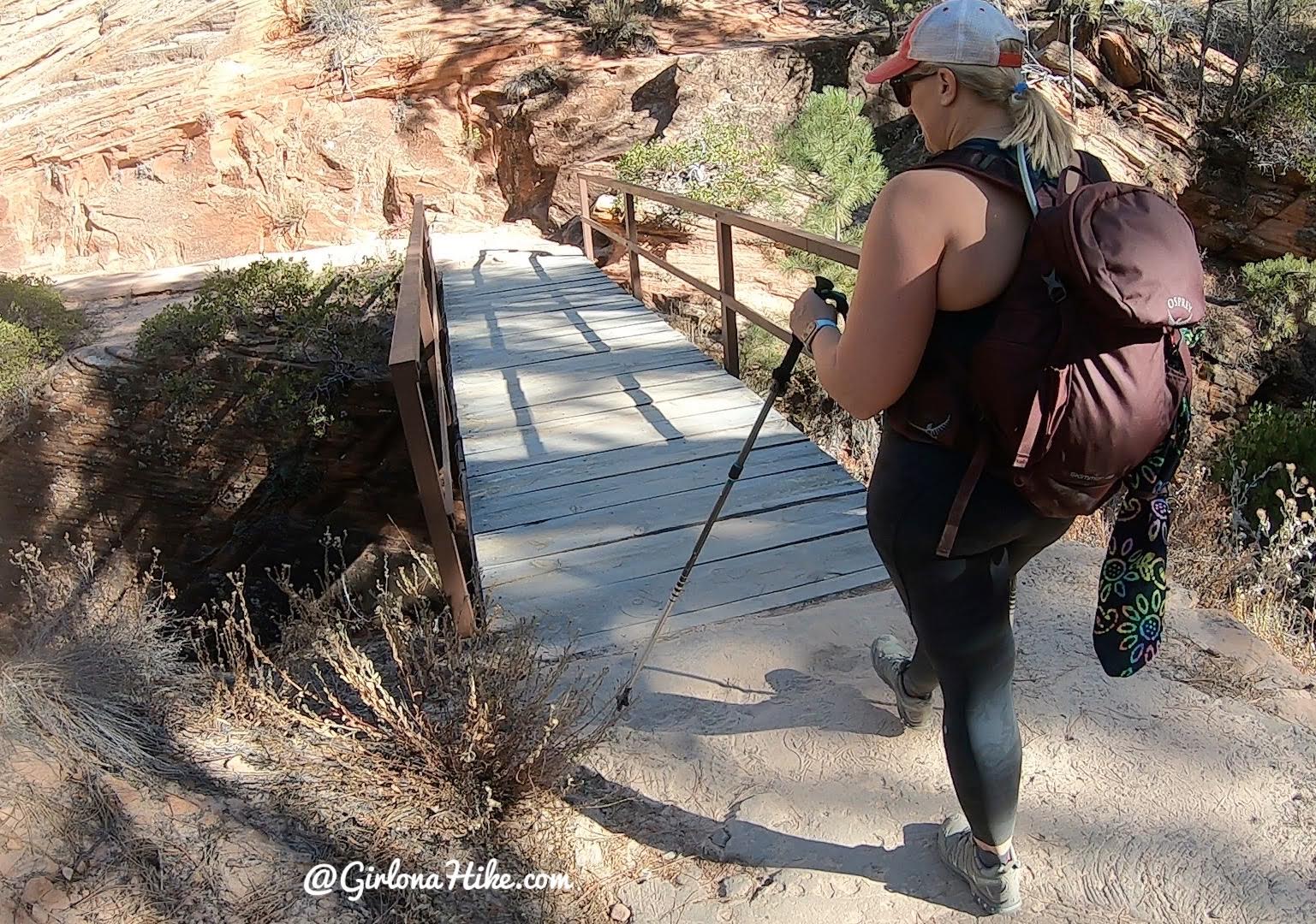 Hiking the West Rim Trail, Zion National Park