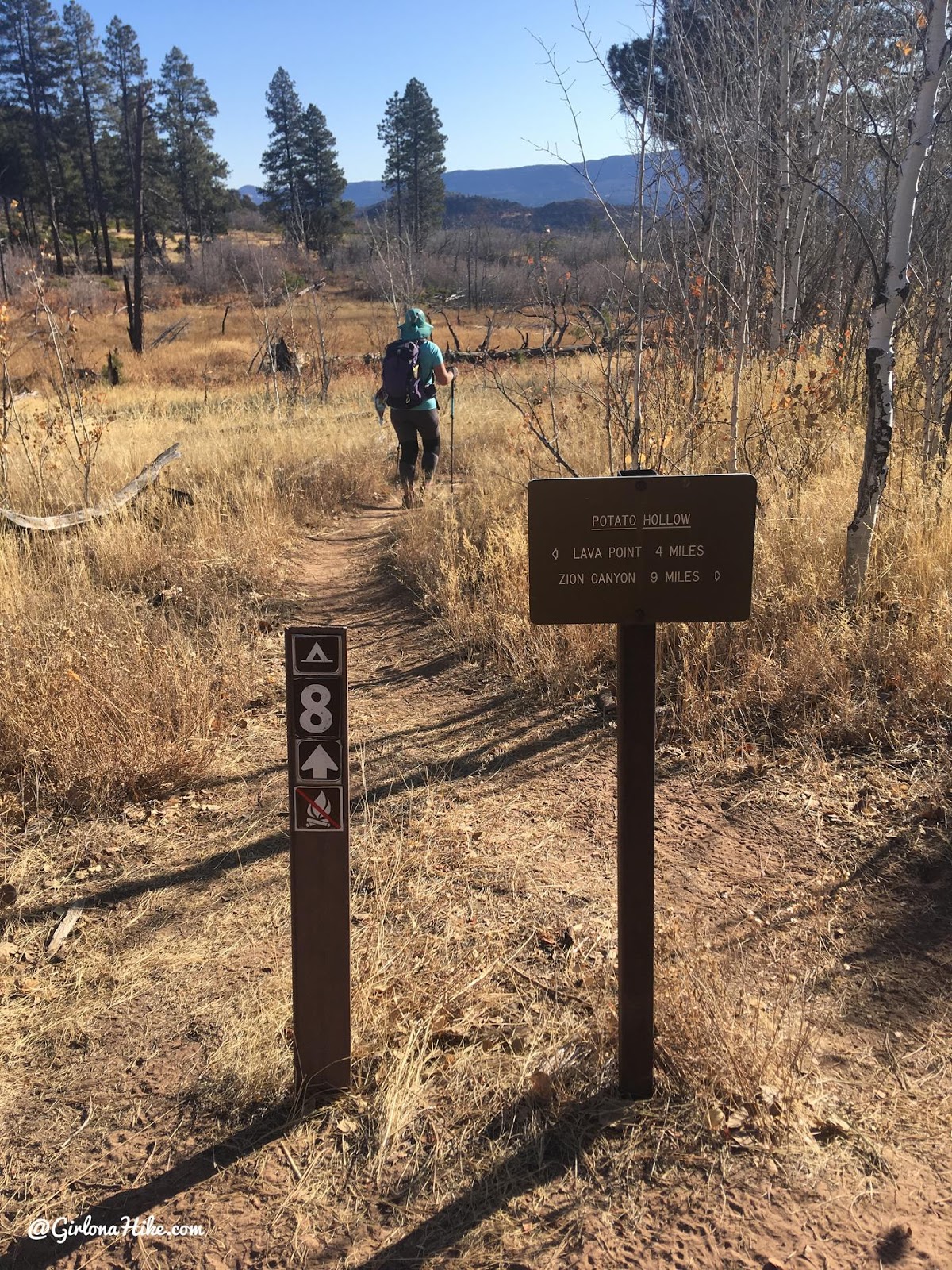 Hiking the West Rim Trail, Zion National Park