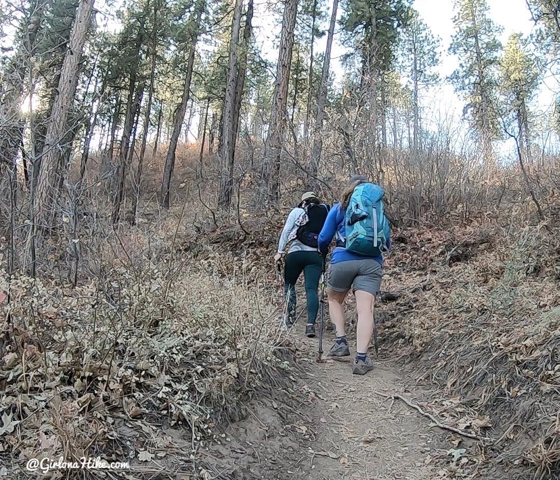 Hiking the West Rim Trail, Zion National Park