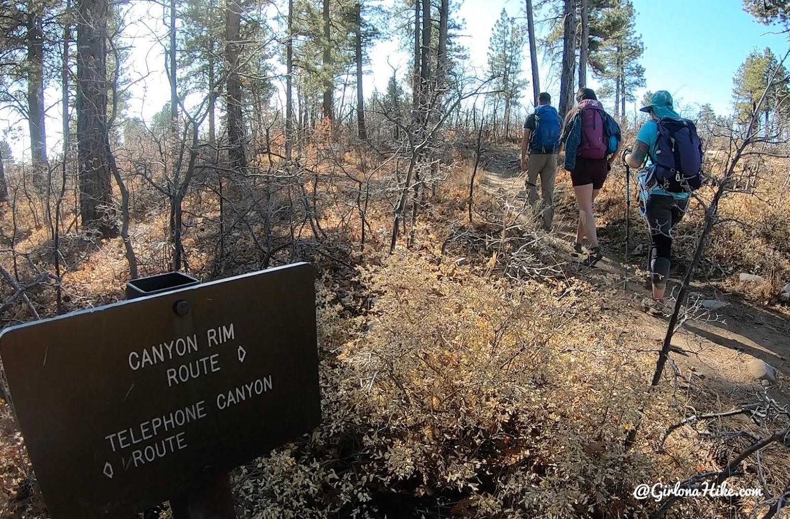 Hiking the West Rim Trail, Zion National Park