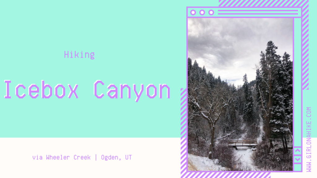 Icebox Canyon via Wheeler Creek