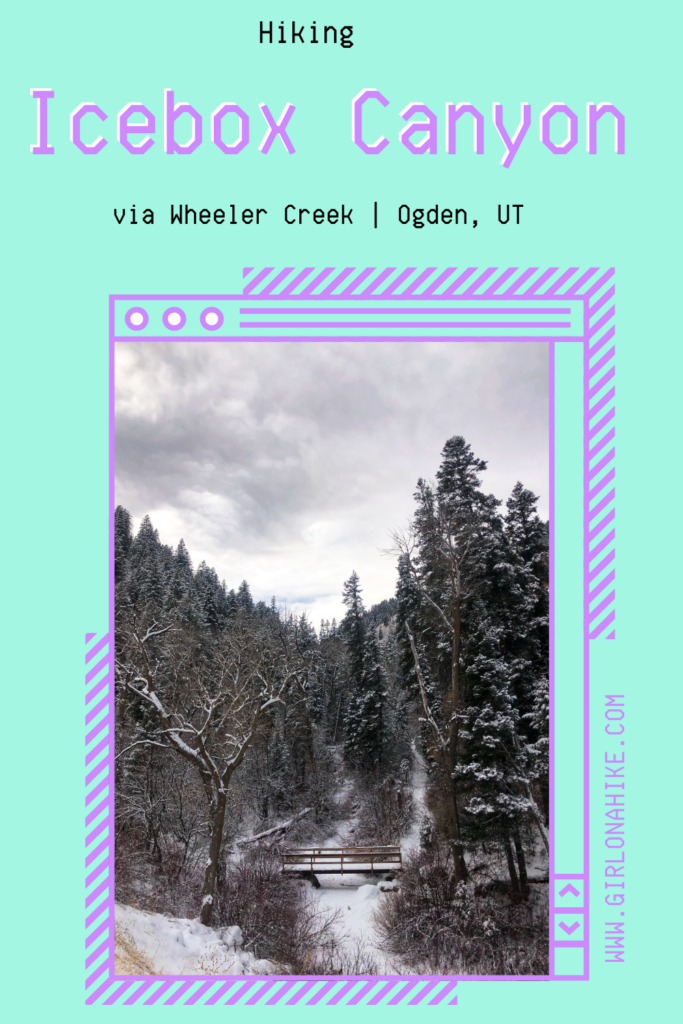 Hiking icebox canyon via wheeler creek