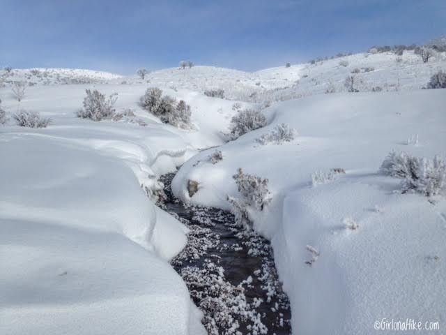 Hiking to 12 Mile (Bishop Creek) Hot Springs - in Winter!, Wells, Nevada Hot Springs, Hot Springs in Nevada