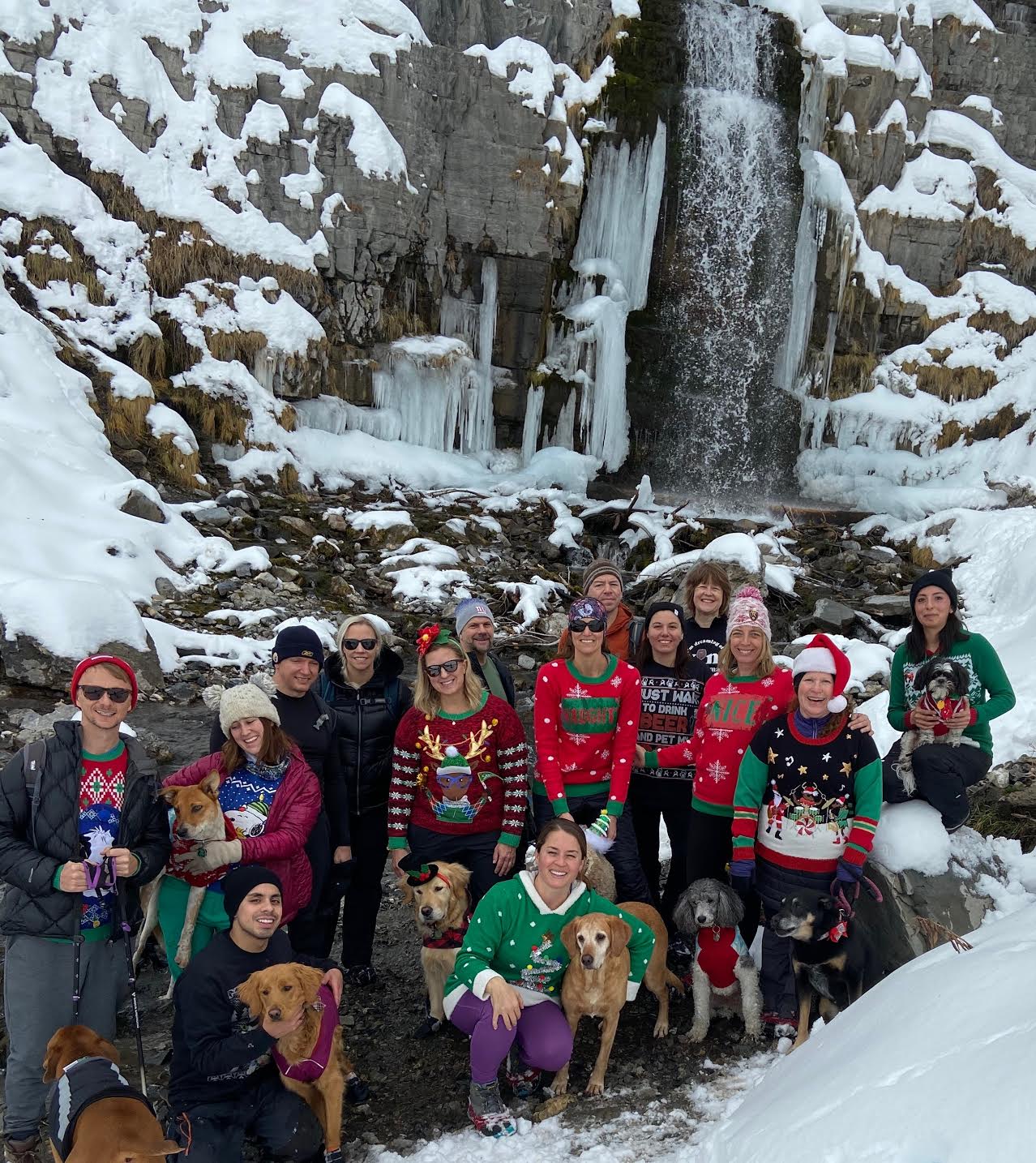 Hiking to Stewart Falls, American Fork Canyon, Sundance Ski Resort, Hiking in Utah with Dogs