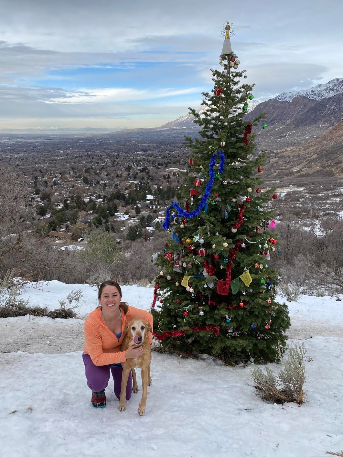 Hiking Waterfall Canyon in Ogden, Utah, Hiking in Utah with Dogs, Frozen Waterfalls in Utah, Ogden BST Christmas Tree