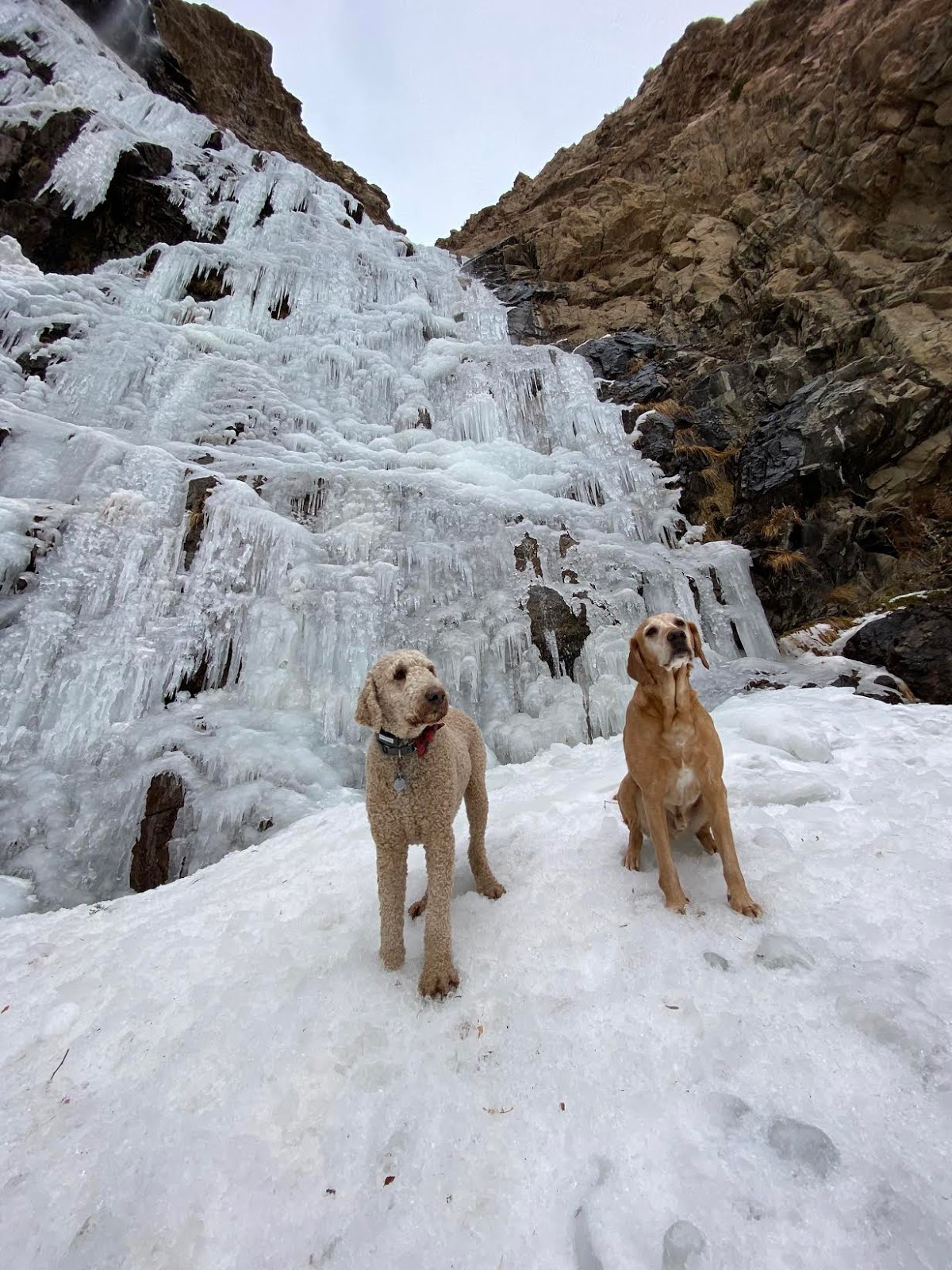 Hiking Waterfall Canyon in Ogden, Utah, Hiking in Utah with Dogs, Frozen Waterfalls in Utah, Ogden BST Christmas Tree