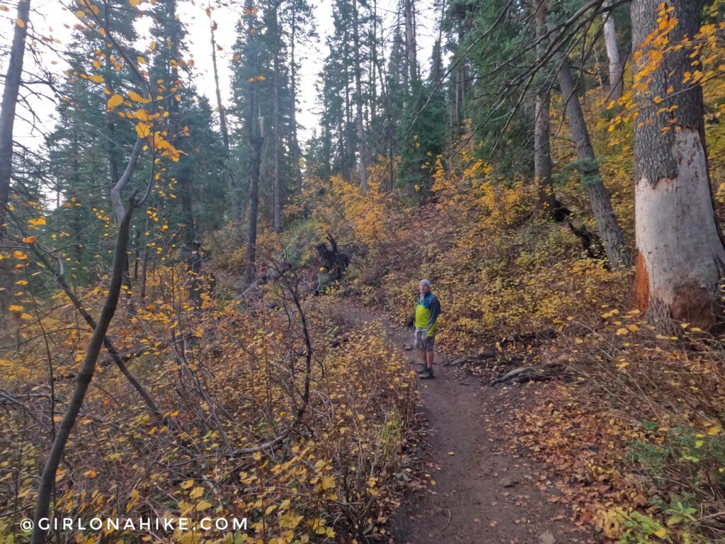 Hiking to Stewart Falls