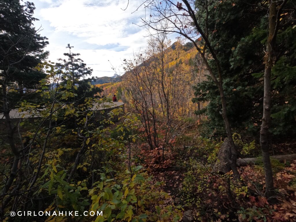 Hiking to Stewart Falls