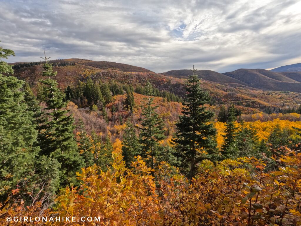 Hiking to Stewart Falls