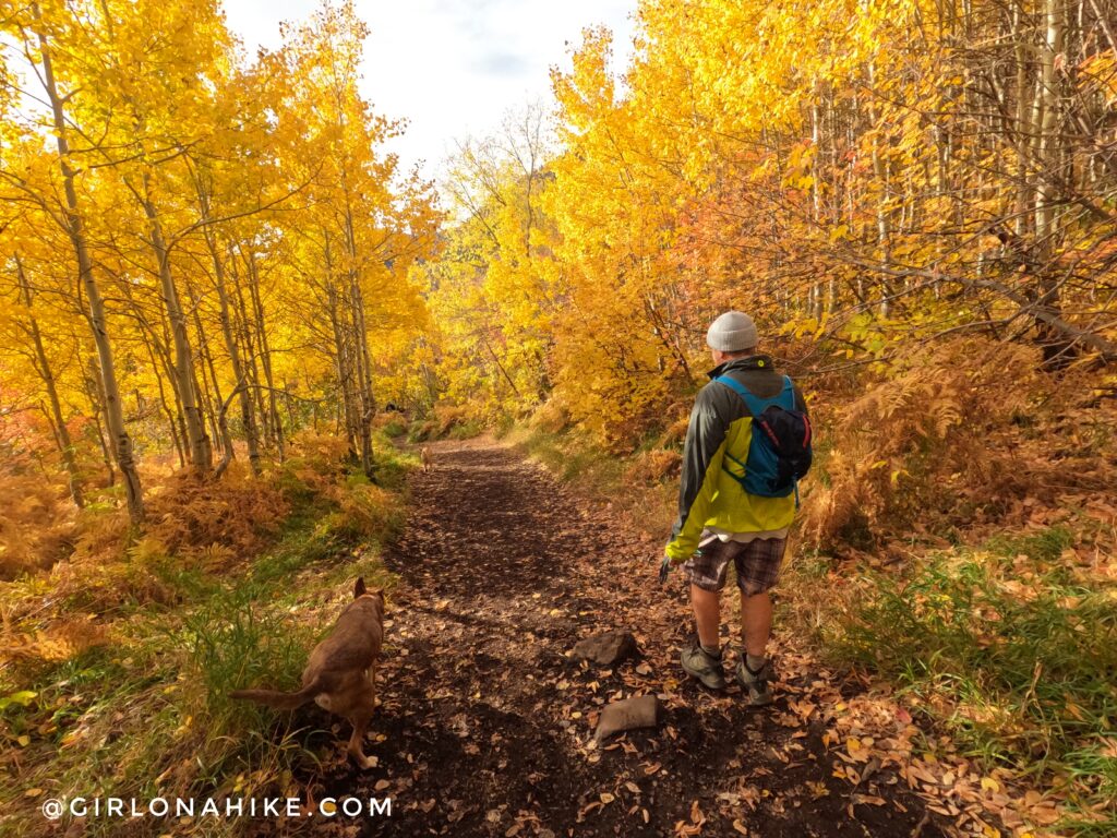 Hiking to Stewart Falls