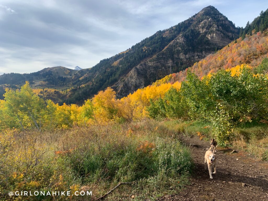 Hiking to Stewart Falls