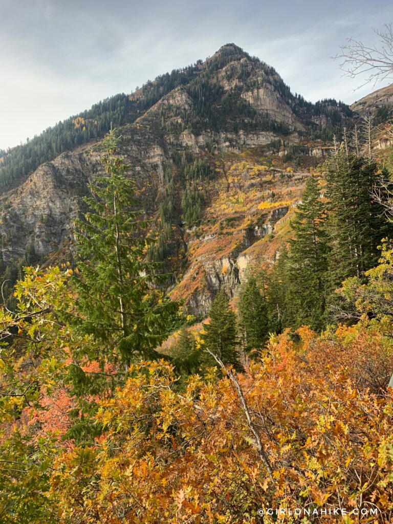 Hiking to Stewart Falls