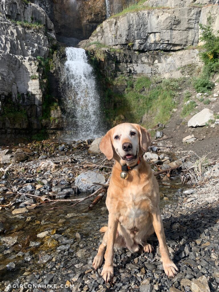 Hiking to Stewart Falls