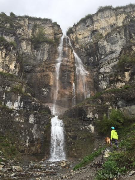 Stewart Falls Hiking Guide, Hiking in utah with dogs