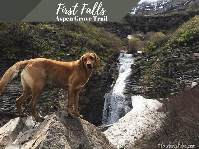 Hiking to First Falls, Aspen Grove Trail