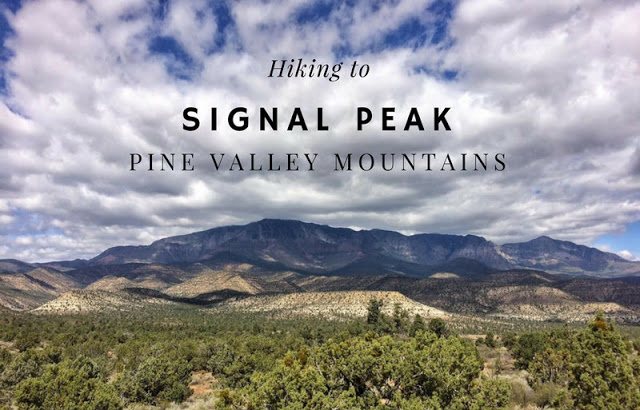 Hiking to Signal Peak, Pine Valley Mountains, The BEST Hikes in St.George, Utah!