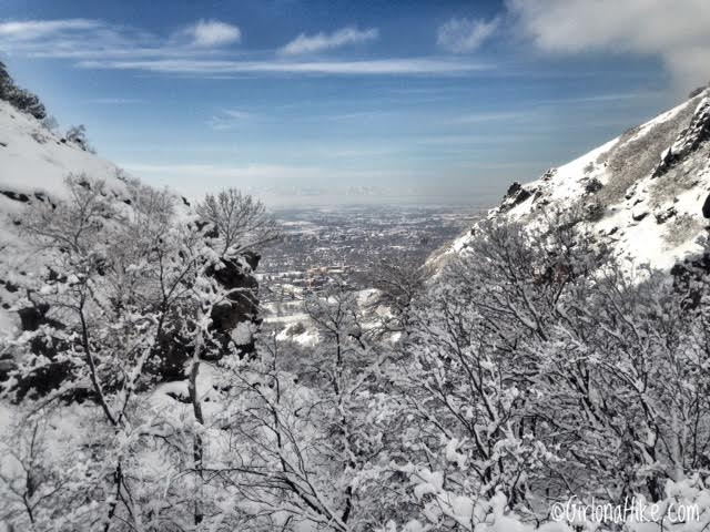 Hiking Waterfall Canyon in Ogden, Utah, Hiking in Utah with Dogs, Frozen Waterfalls in Utah