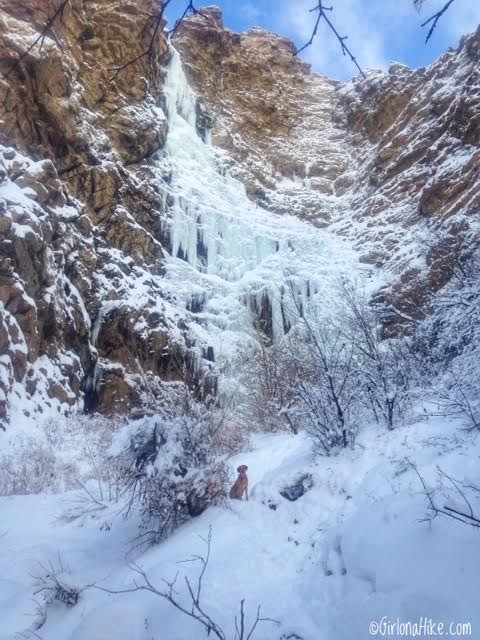 Hiking Waterfall Canyon in Ogden, Utah, Hiking in Utah with Dogs, Frozen Waterfalls in Utah