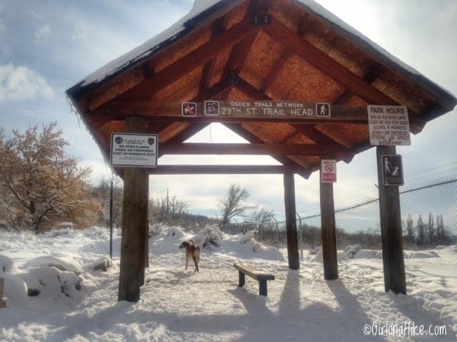 Hiking Waterfall Canyon in Ogden, Utah, Hiking in Utah with Dogs, Frozen Waterfalls in Utah