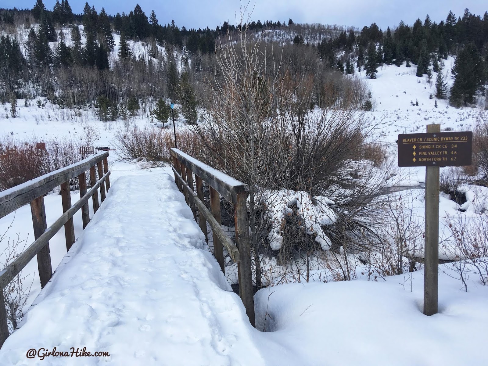 Cross Country Skiing in the Uintas