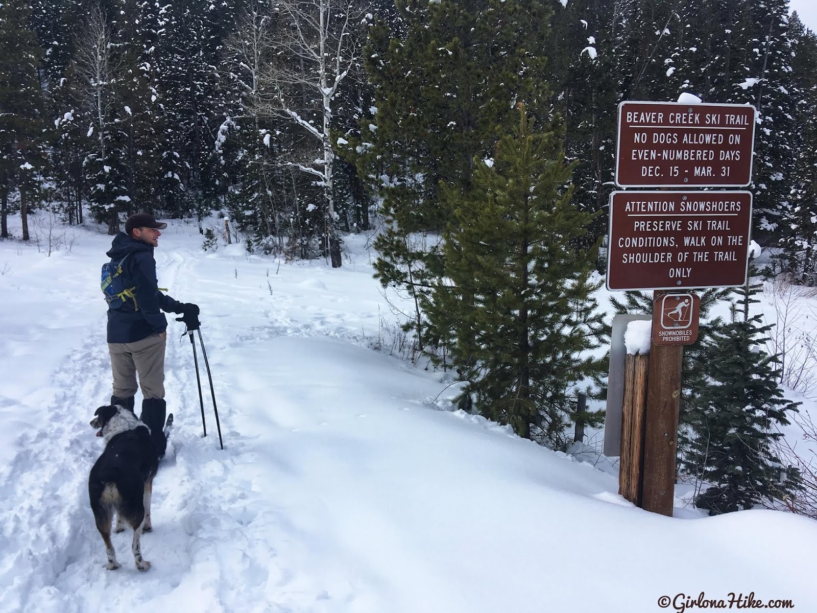 Cross Country Skiing in the Uintas, Beaver XC Ski Trail