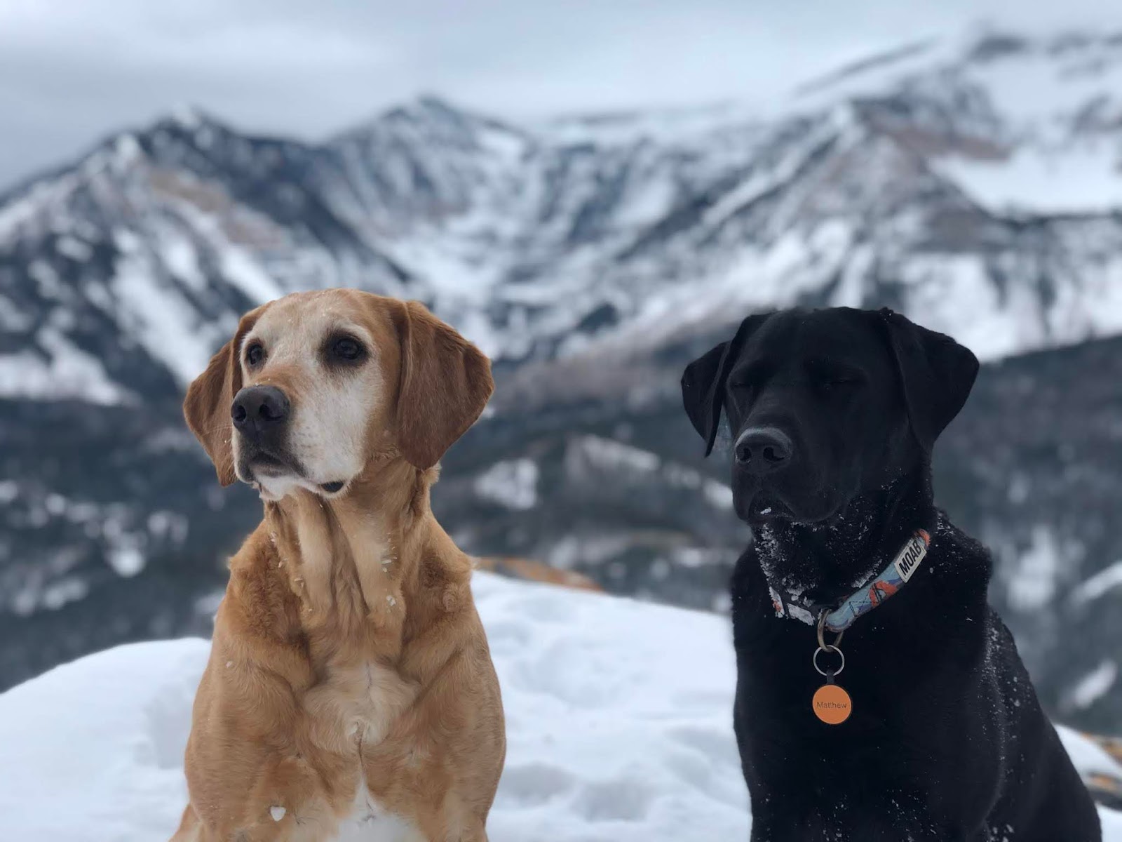 Hiking to the Pine Hollow Overlook, American Fork Canyon