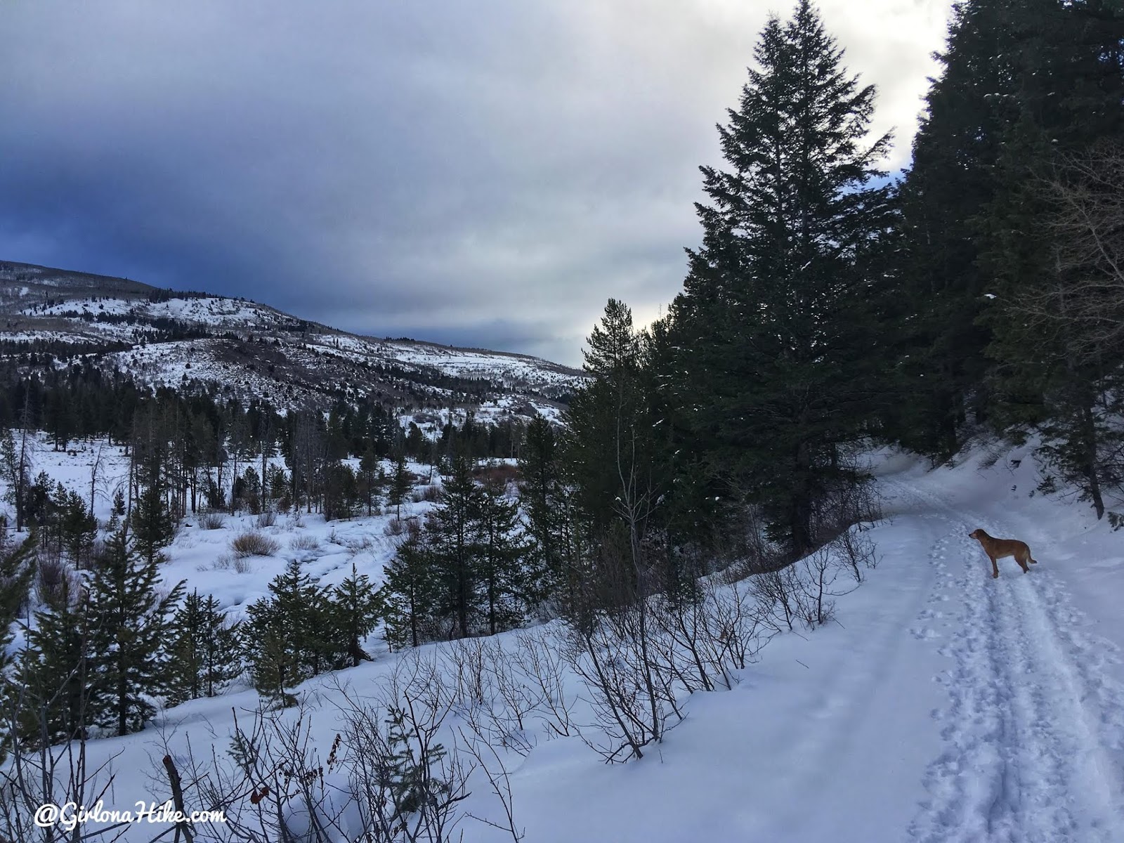 Cross Country Skiing in the Uintas