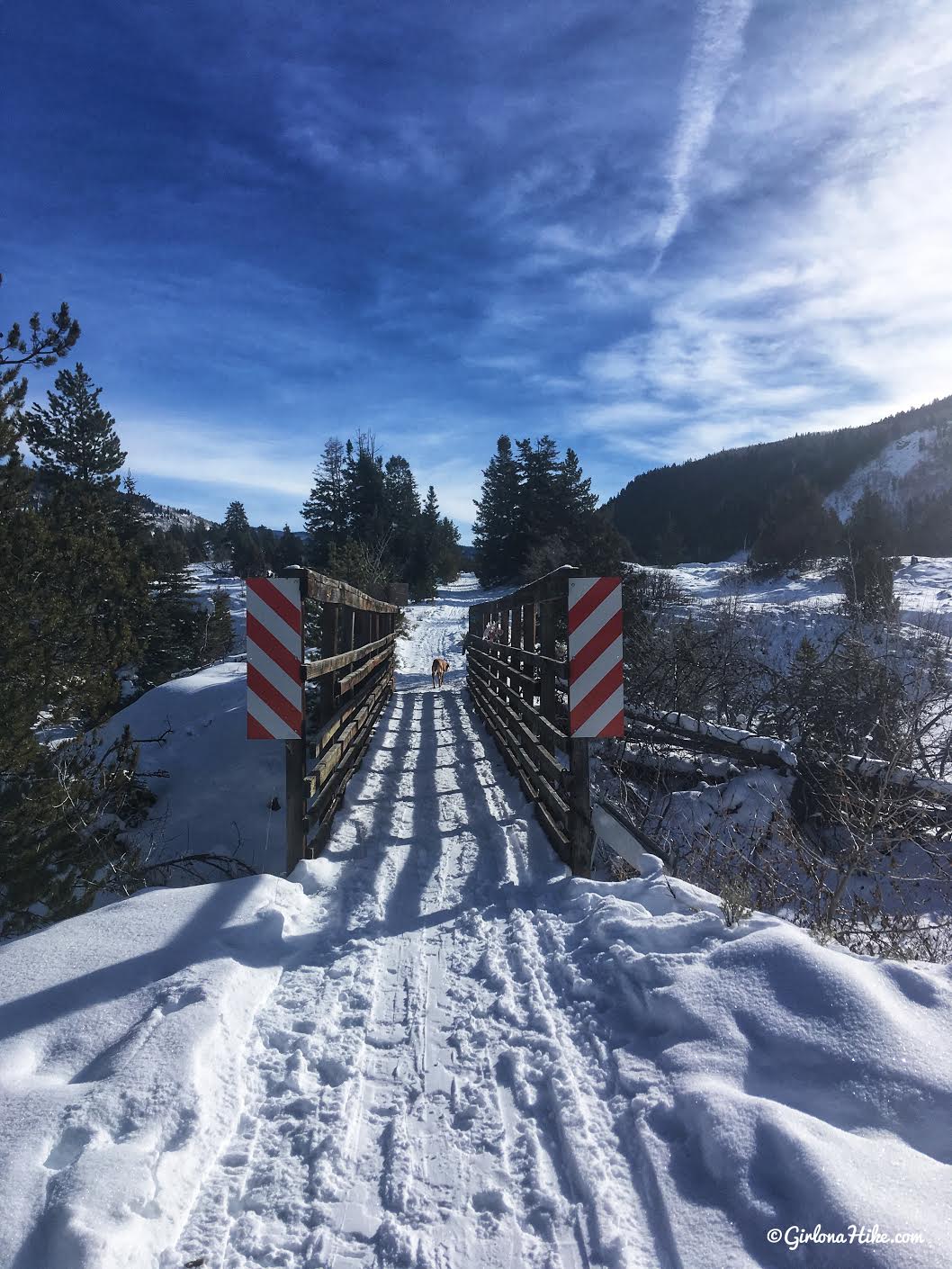 Cross Country Skiing in the Uintas, Beaver XC Ski Trail