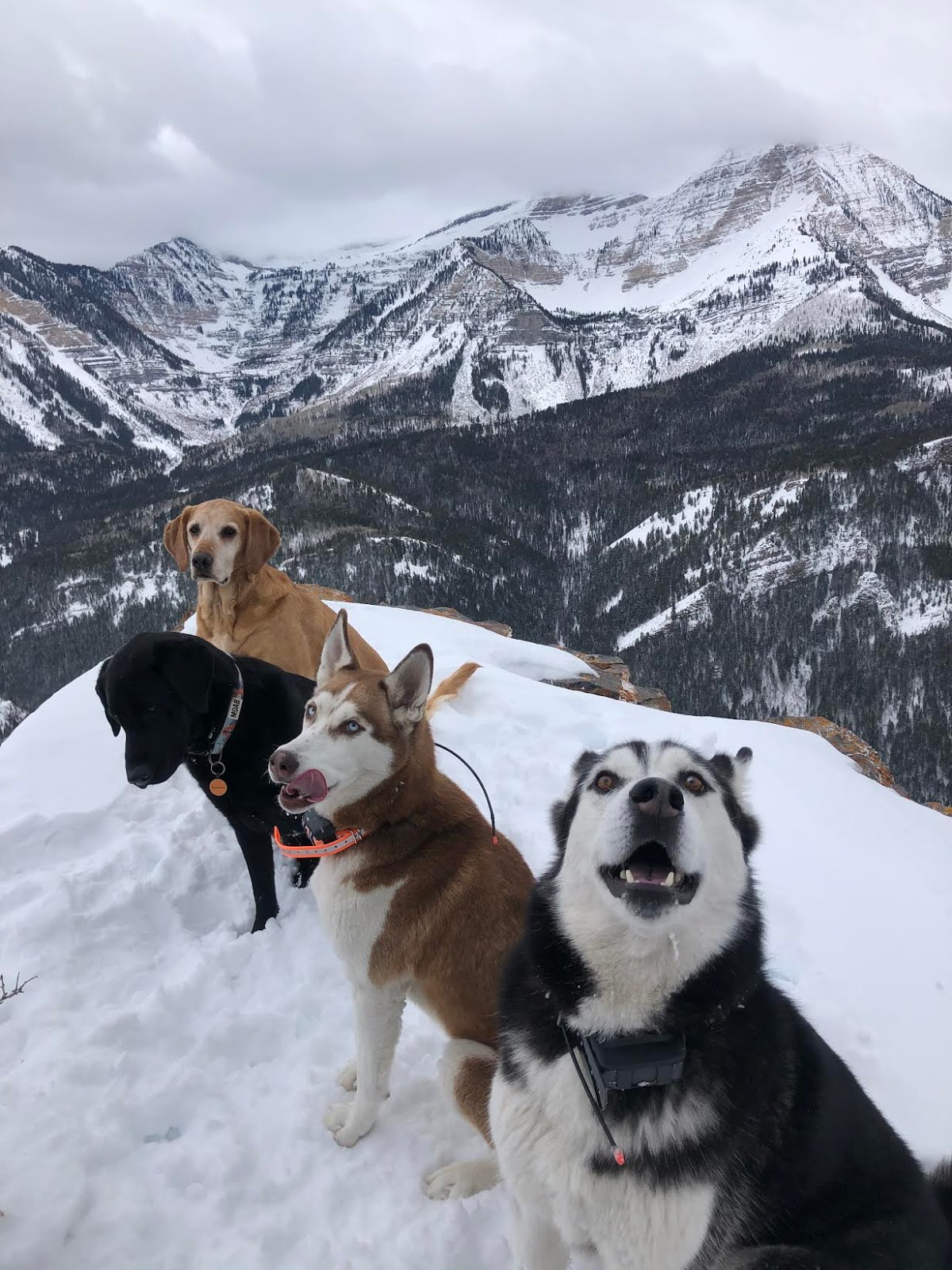 Hiking to the Pine Hollow Overlook, American Fork Canyon