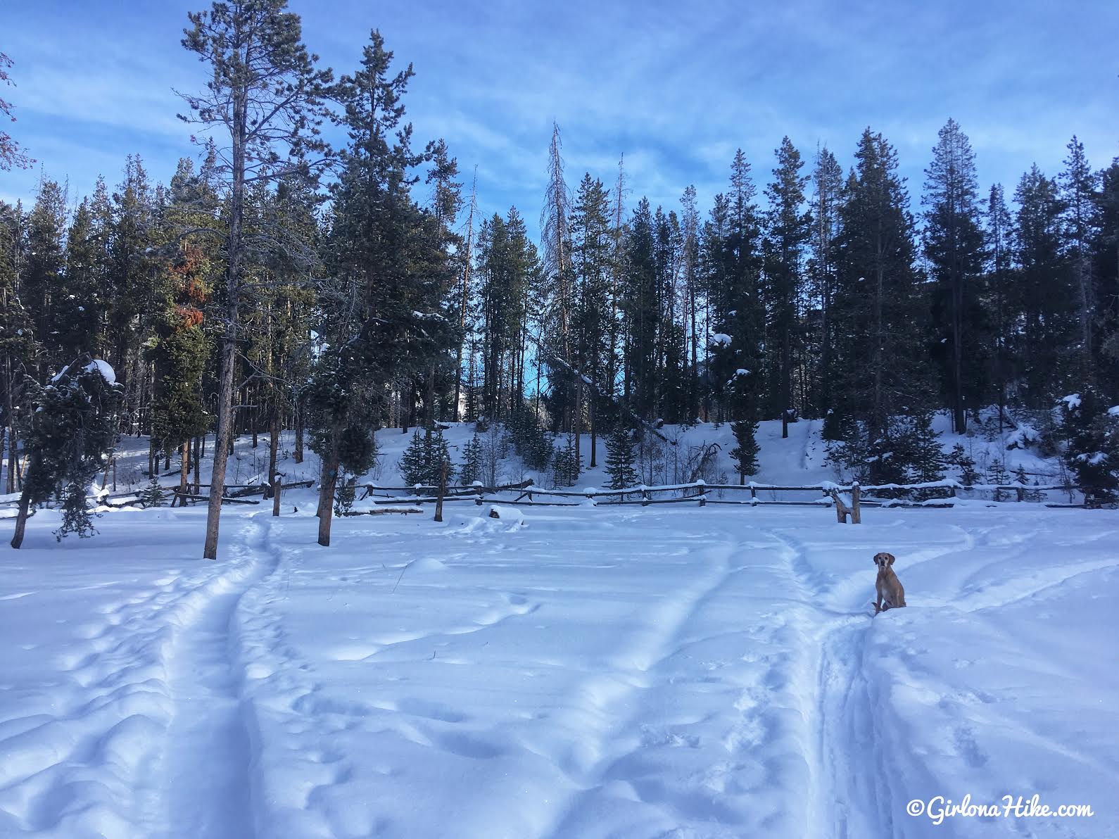 Cross Country Skiing in the Uintas, North Fork Provo XC Ski Trail