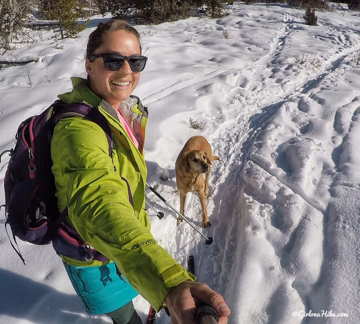 Cross Country Skiing in the Uintas Girl on a Hike