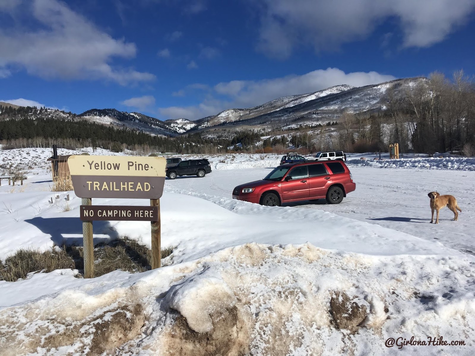 Cross Country Skiing in the Uintas