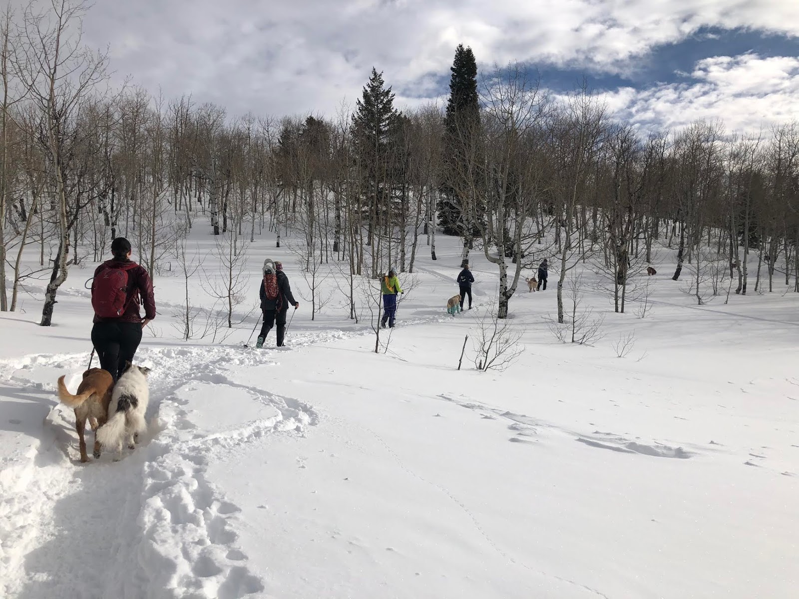 Hiking to the Pine Hollow Overlook, American Fork Canyon