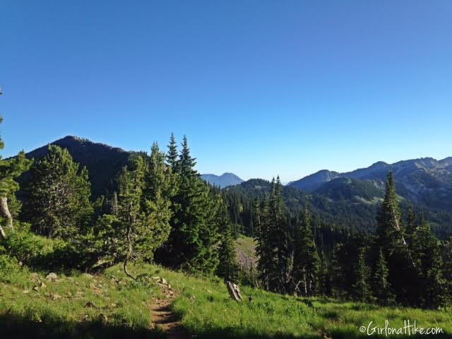 Hiking to Clayton Peak via Guardsmans Pass