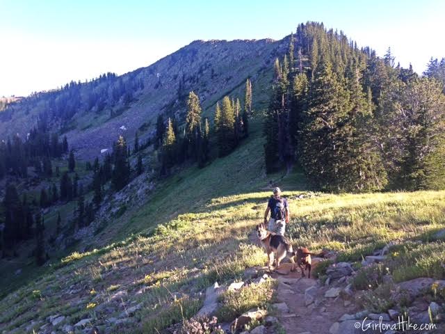 Hiking to Clayton Peak via Guardsmans Pass