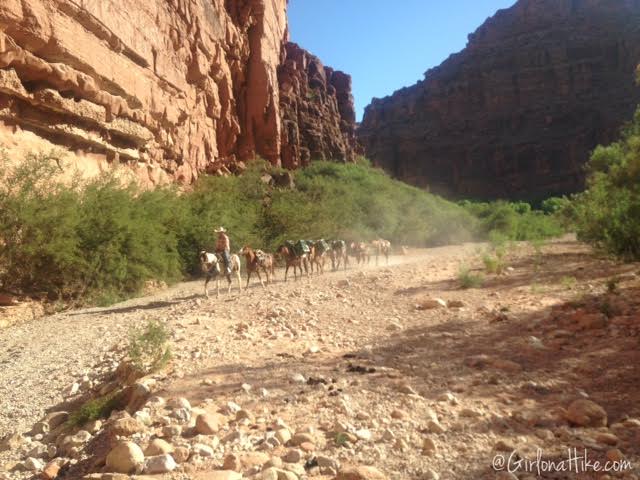 Hiking to Havasu Falls, Arizona