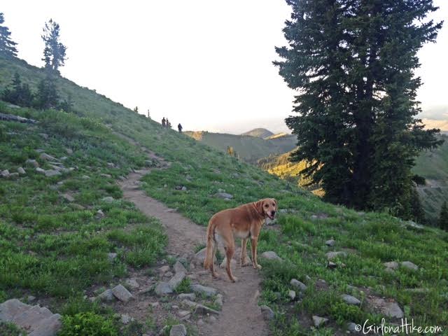 Hiking to Clayton Peak via Guardsmans Pass