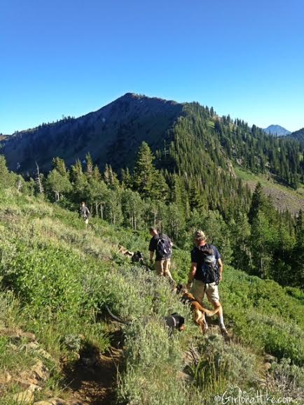 Hiking to Clayton Peak via Guardsmans Pass