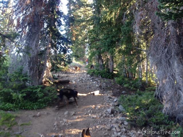 Hiking to Clayton Peak via Guardsmans Pass