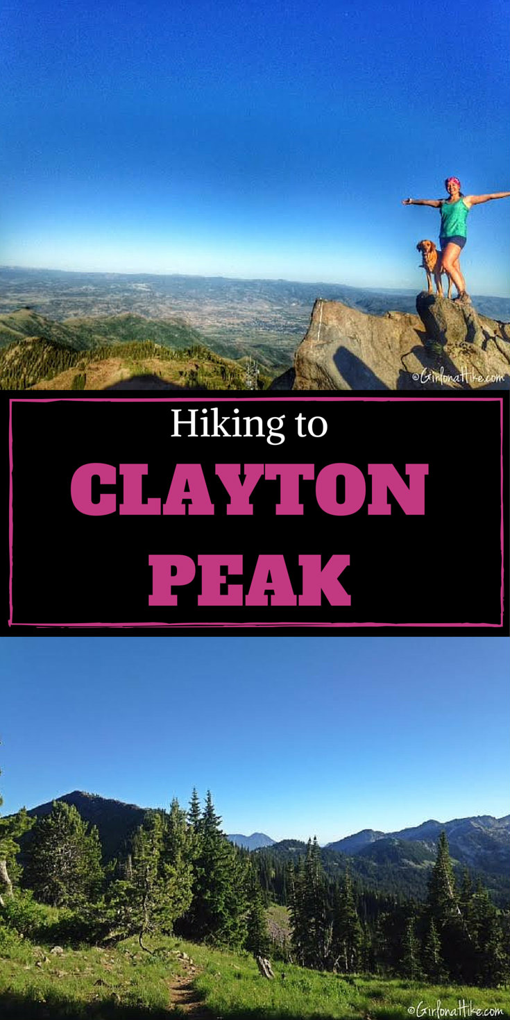 Hiking to Clayton Peak via Guardsmans Pass