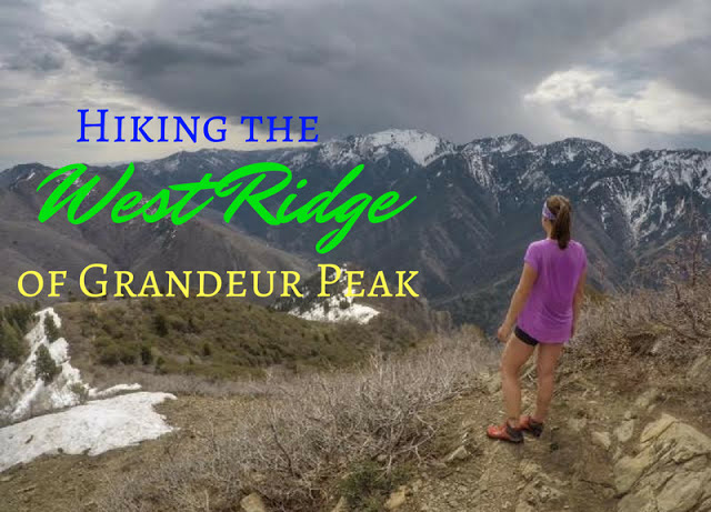 Hiking the West Ridge of Grandeur Peak The 7 Best Trails in Millcreek Canyon, Hiking in Utah with Dogs