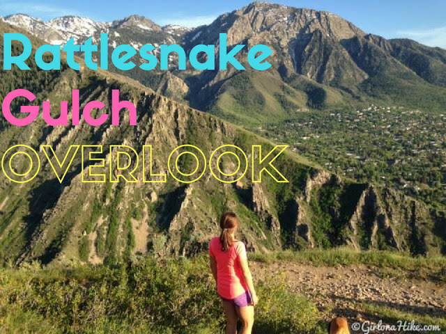 The 7 Best Trails in Millcreek Canyon, Rattlesnake Gulch Trail Utah, Hiking in Utah with dogs