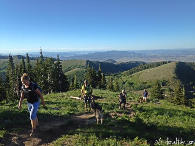 Hiking to Clayton Peak via Guardsmans Pass