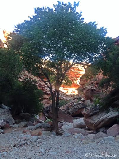 Hiking to Havasu Falls, Arizona