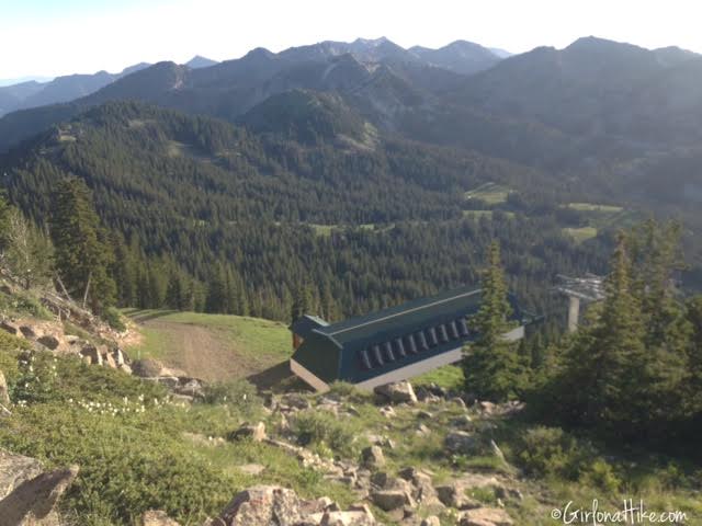 Hiking to Clayton Peak via Guardsmans Pass