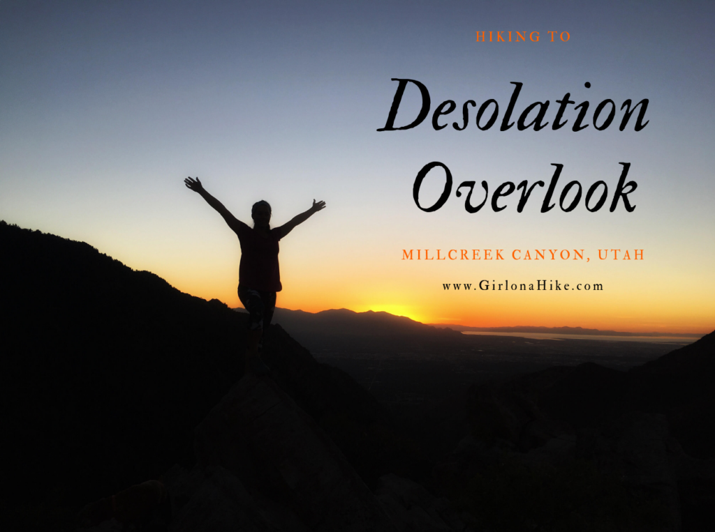 The 7 Best Trails in Millcreek Canyon, Hike to desolation overlook