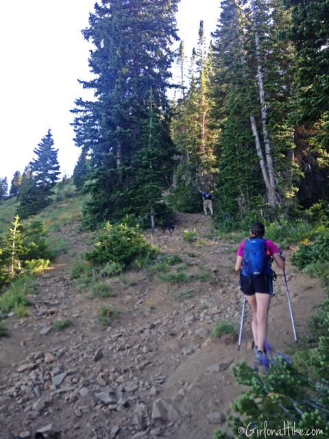 Hiking to Clayton Peak via Guardsmans Pass